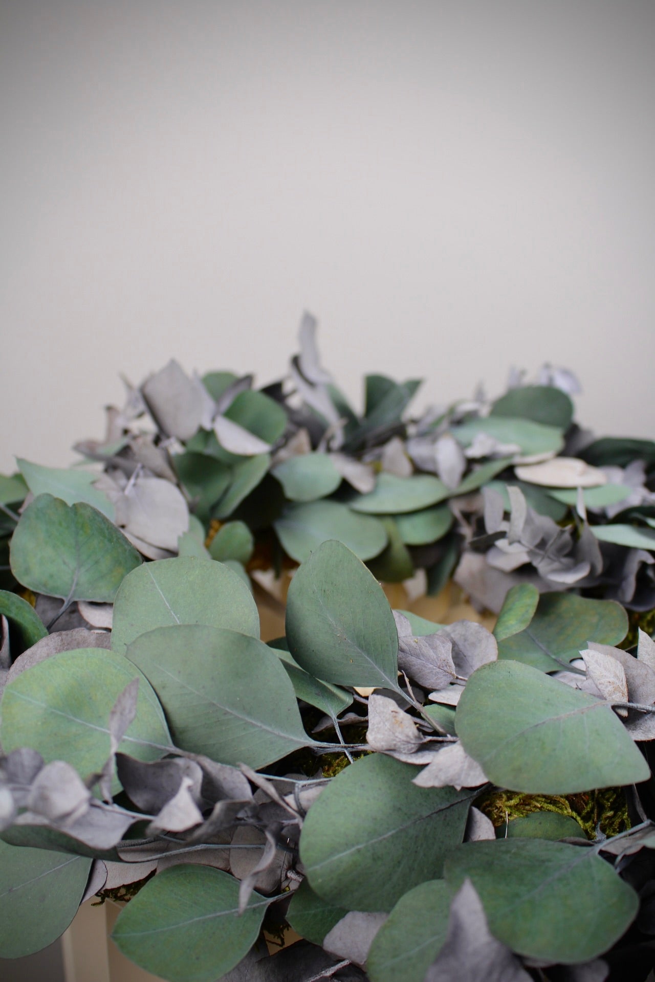 Detailaufnahme Adventskranz mit zwei präparierten Eukalyptussorten in Grüntönen