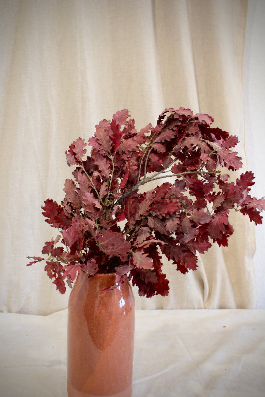 Präpariertes und rot eingefärbtes Eichenlaub