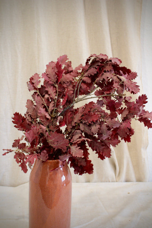 Präpariertes und rot eingefärbtes Eichenlaub