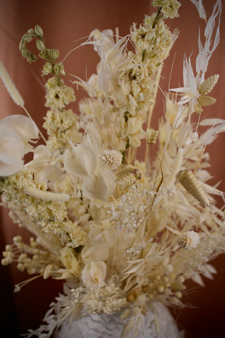 Trockenblumenstrauß Albaelia in Weiß und Creme