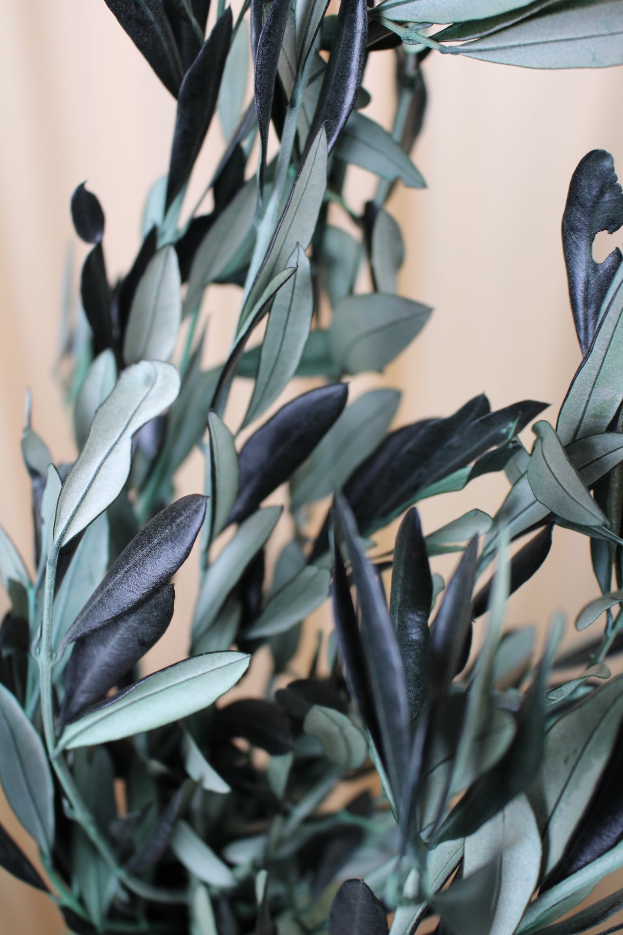 Neue Bundware im Shop – Trockenblumen für kreative Ideen & DIY