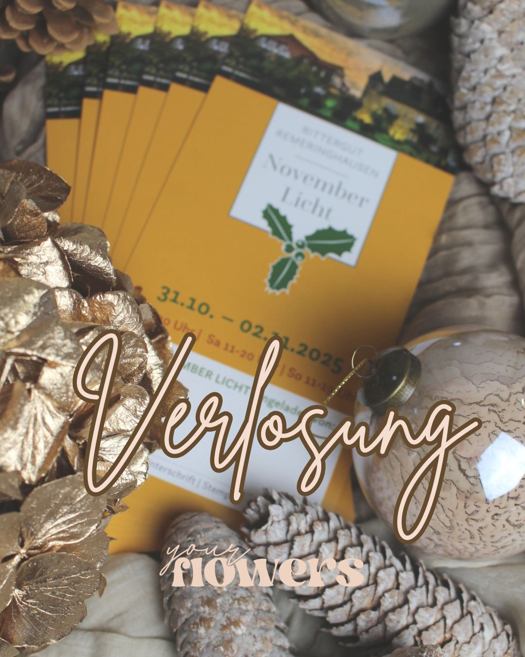 Gewinnspiel: Gewinne 3x2 Tickets für das NovemberLicht auf Rittergut Remeringhausen 🌟