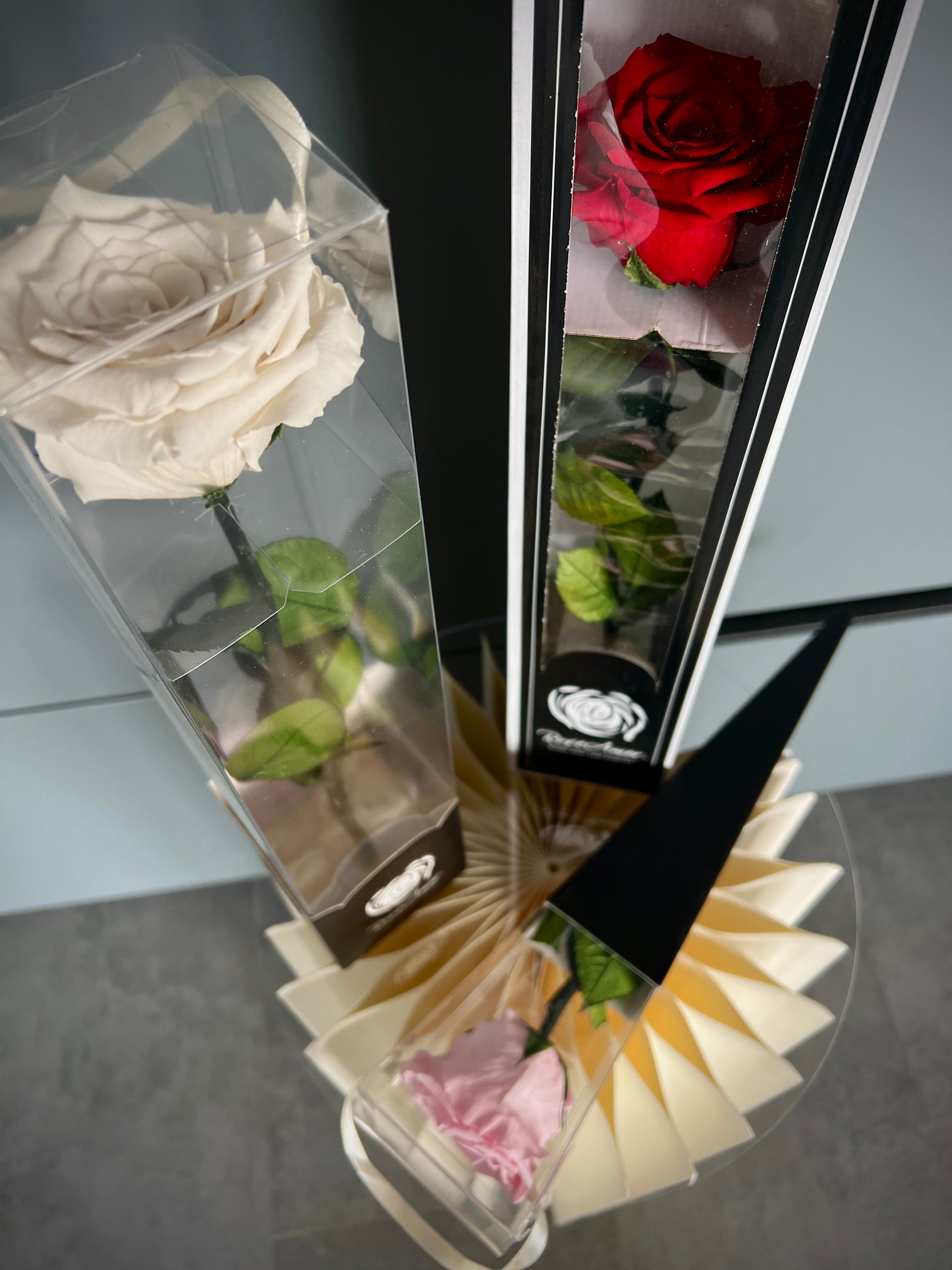Präparierte Rose mit Stiel