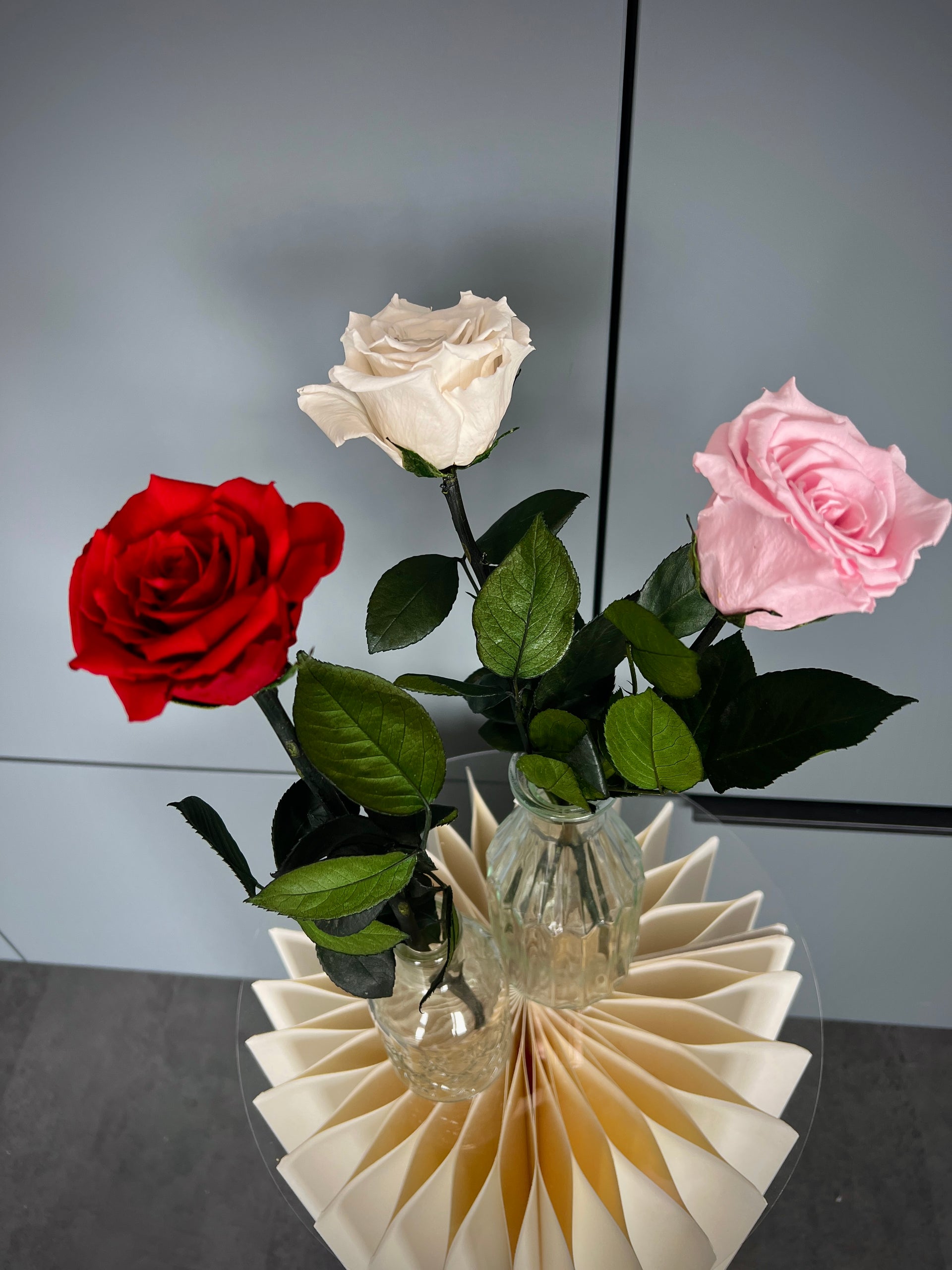 Präparierte Rose mit Stiel
