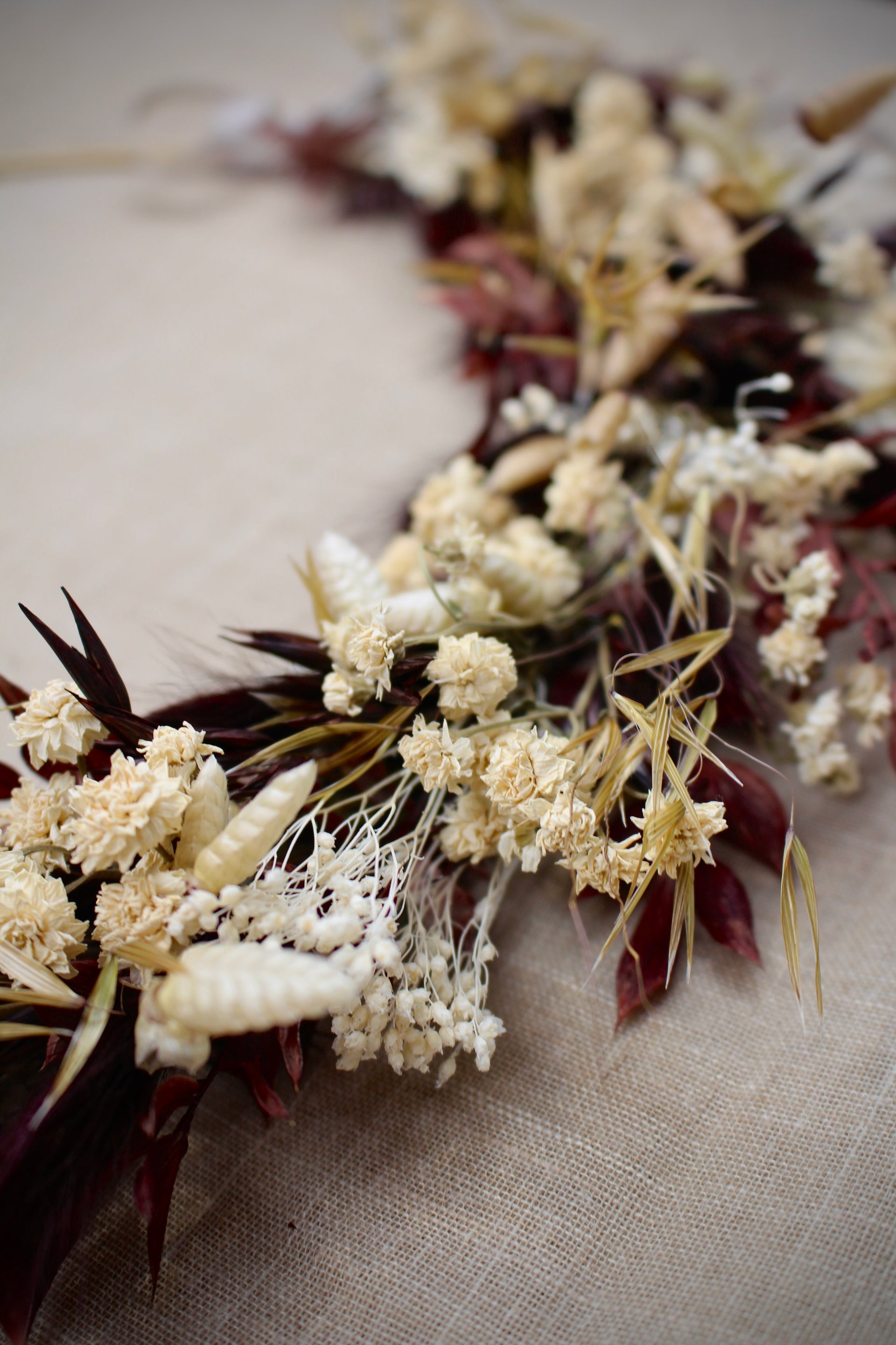 Loop aus Trockenblumen | 'Rubra'