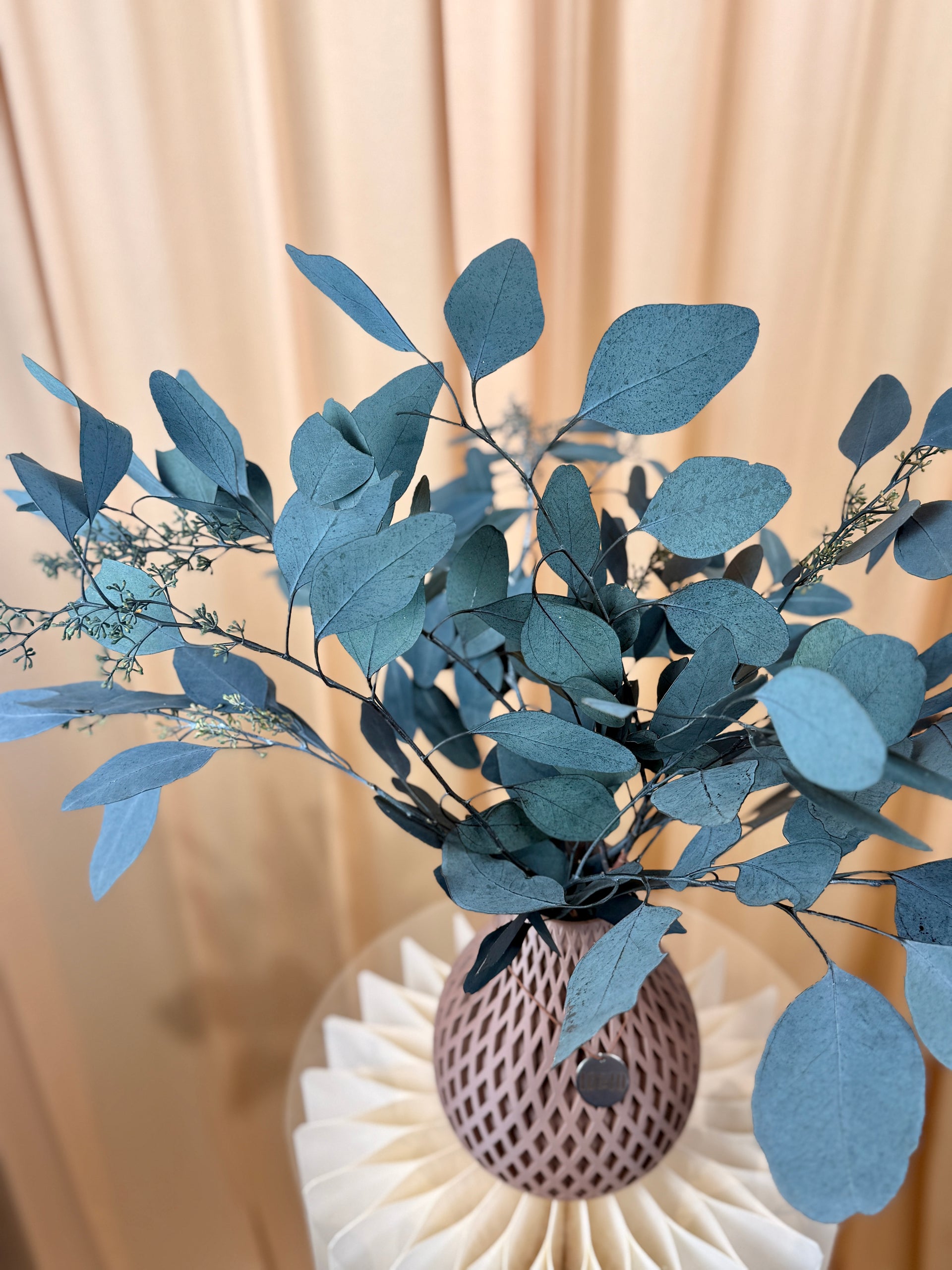 Stabilisierter Eukalyptus mit Frucht – im Bund