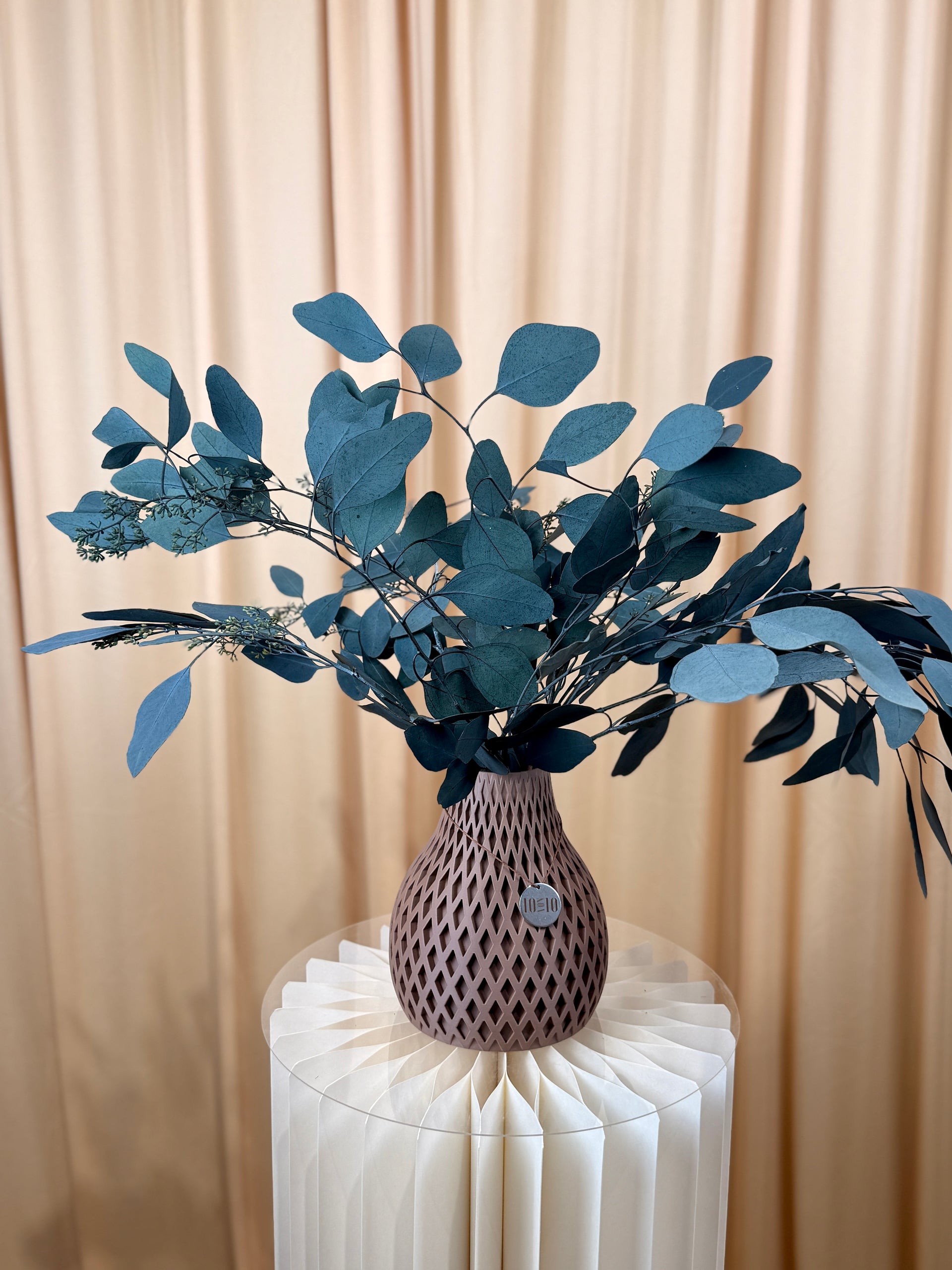 Stabilisierter Eukalyptus mit Frucht – im Bund
