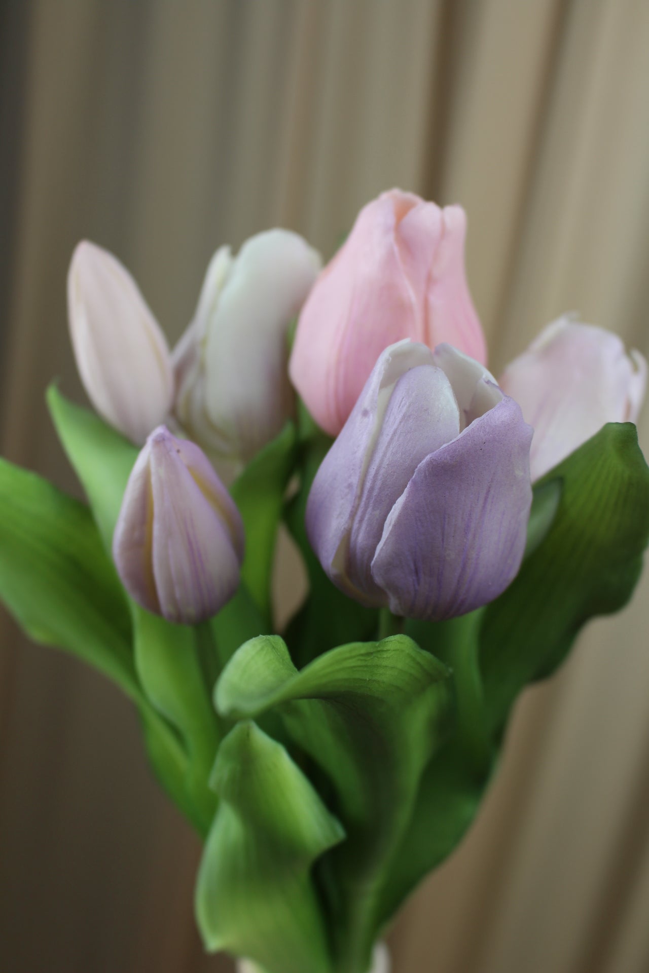 Kunsttulpen Everlasting Flieder Rosa Nahaufnahme