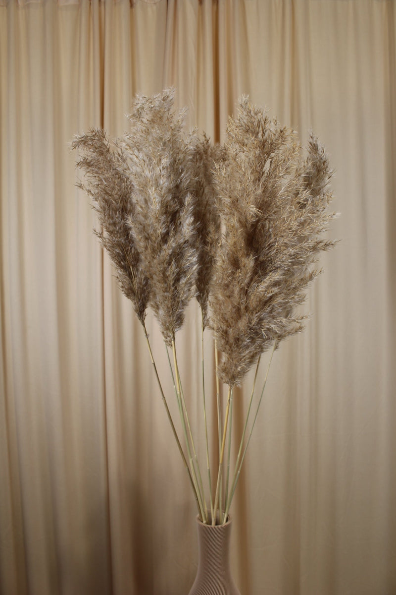 Pampas Natur