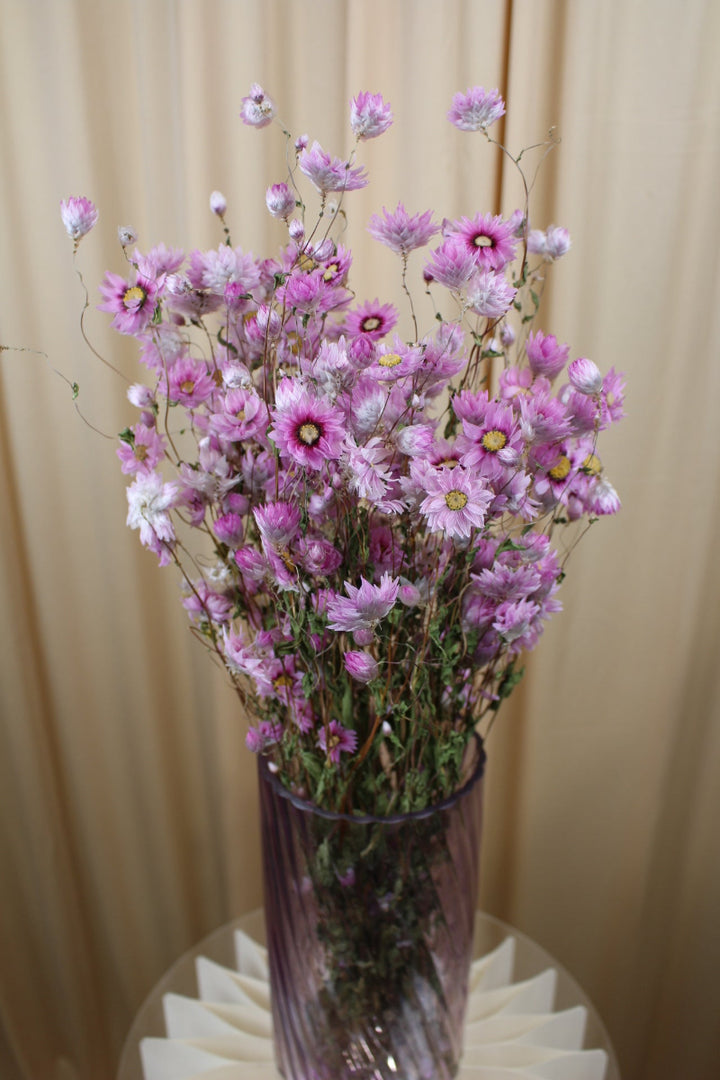 Rhodante in Pink