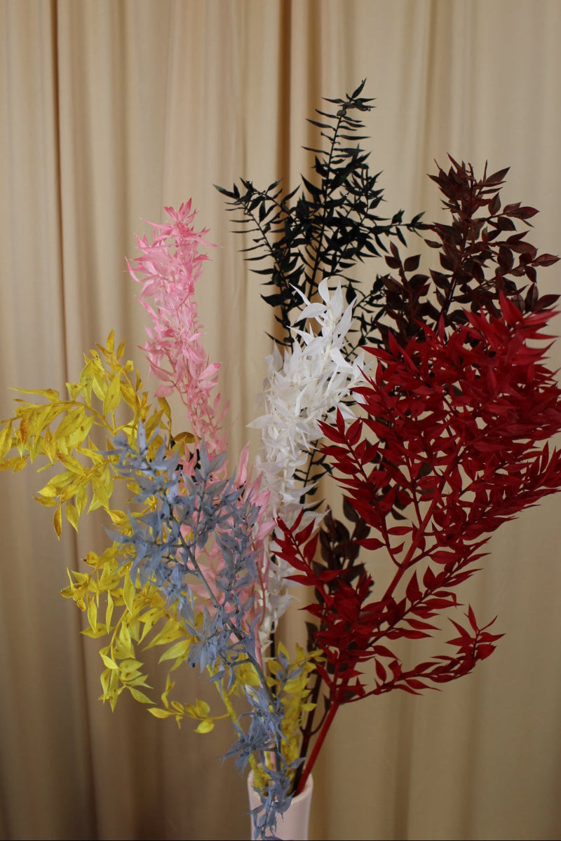 Ruskus verschiedene Farben