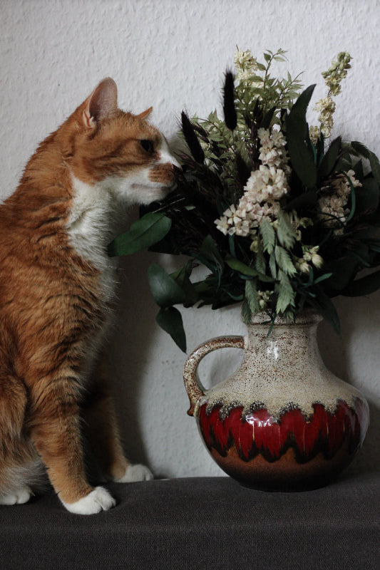 Dunkler Trockenblumenstrauß mit tierischem Besucher
