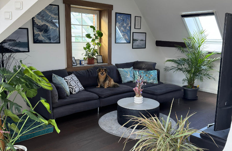 Kombination aus Trockenblumen und frische Blumen